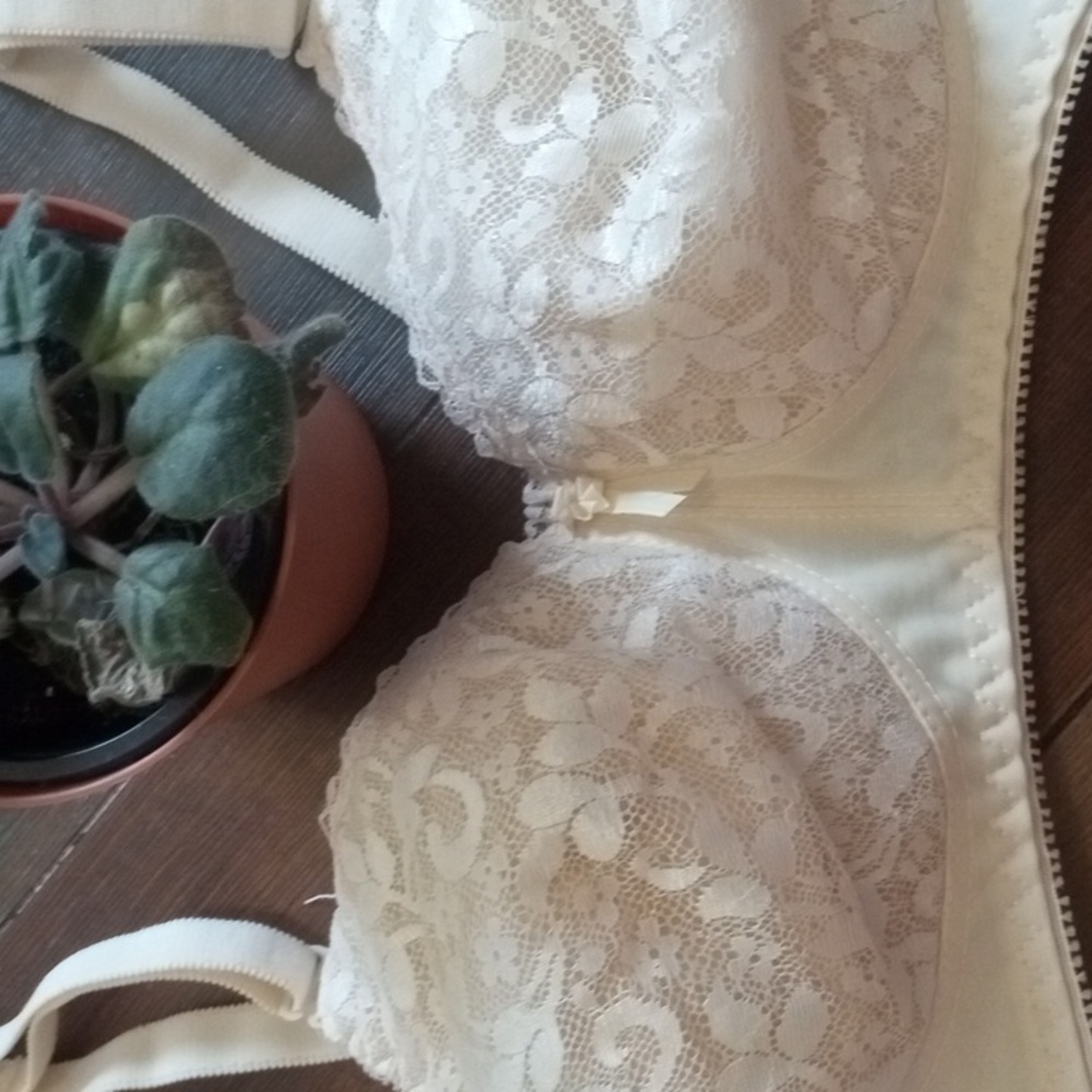NWT Cream Lace Sexy Bralet Bra